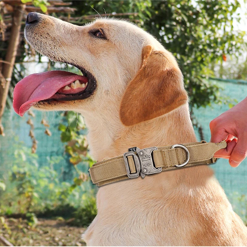 Coleira e Guia para Cães